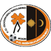 Logo Odorheiu Secuiesc