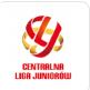 Logo giải đấu
