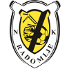 Logo Radomlje
