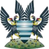 Logo Salisbury FC