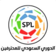Logo giải đấu