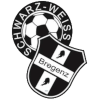Logo SC Bregenz