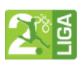 Logo giải đấu