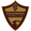 Logo Stellenbosch FC