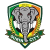 Logo Surin City