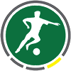 Logo SV Strasswalchen