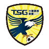 Logo Tainan City Steel