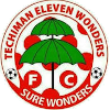 Logo Techiman Eleven Wonders
