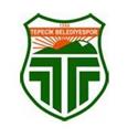 Logo Tepecik U23
