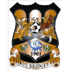Logo Three Bridges
