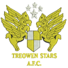 Logo Treowen Stars