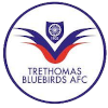 Logo Trey Thomas Drossel