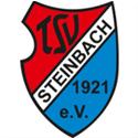 Logo TSV Steinbach Haiger