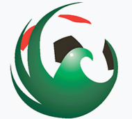 Logo giải đấu