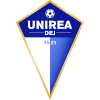 Logo Unirea Dej