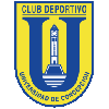 Logo Universidad de Concepcion