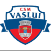 Logo Vaslui