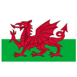 Logo Wales U21