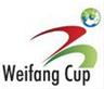 Logo giải đấu
