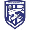 Logo Wuhan Three Towns