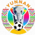 Logo giải đấu