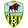 Logo Zimbru Chisinau B