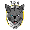 Logo ZNK Radomlje (W)